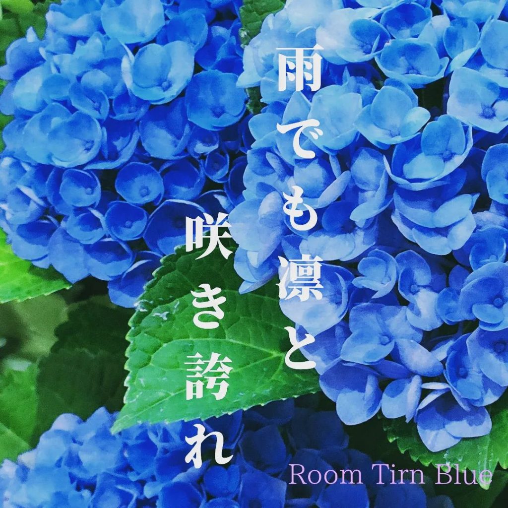 ⁡紫陽花は、雨の中でも凛として奇麗に咲いています。